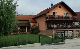 Apartment Pavlesic